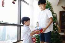 Азіатська сім'я святкує Різдво, маленькі хлопчики діляться подарунком — стокове фото
