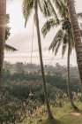 Женщина на качелях против красивого пейзажа на Бали — стоковое фото