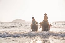RELEASES Young couple playing with elephants in Koh Chang, Thailand — Stock Photo