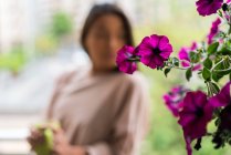 Purple flowers in front of blurred woman — Stock Photo