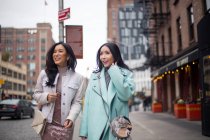 Deux belles femmes asiatiques ensemble à New York, Etats-Unis — Photo de stock