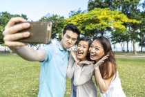 Un groupe d'amis prenant un selfie ensemble — Photo de stock