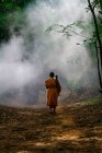 Visão traseira de monge solitário andando na floresta nebulosa — Fotografia de Stock
