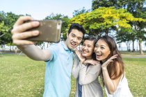 Un grupo de amigos tomando una selfie juntos - foto de stock