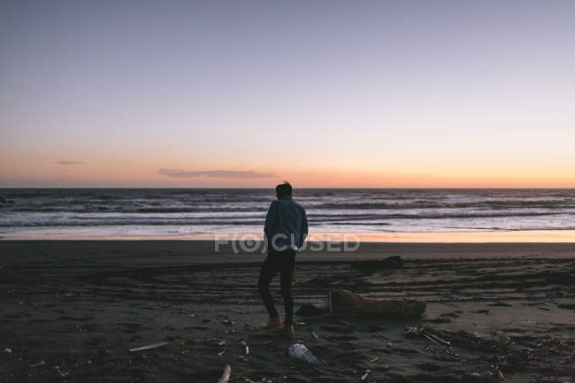 Vista trasera de un joven paseando por una playa en Nueva Zelanda - foto de stock