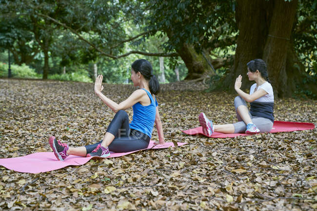 Две женщины занимаются йогой в Ботаническом саду, Сингапур — стоковое фото