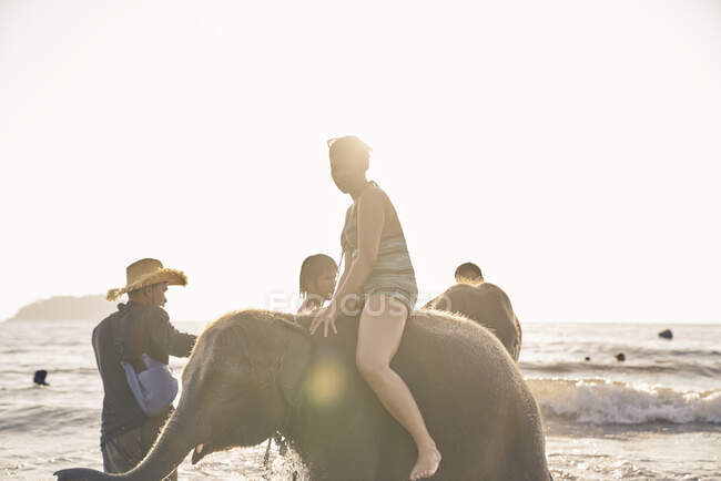 Молодая женщина играет со слонами на Ко Чанг (Koh Chang), Таиланд — стоковое фото