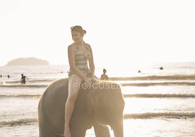 RELEASES Young woman playing with elephant in Koh Chang, Thailand — Stock Photo