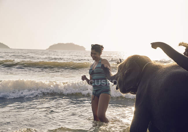 Young woman playing with elephants in Koh Chang, Thailand — Stock Photo