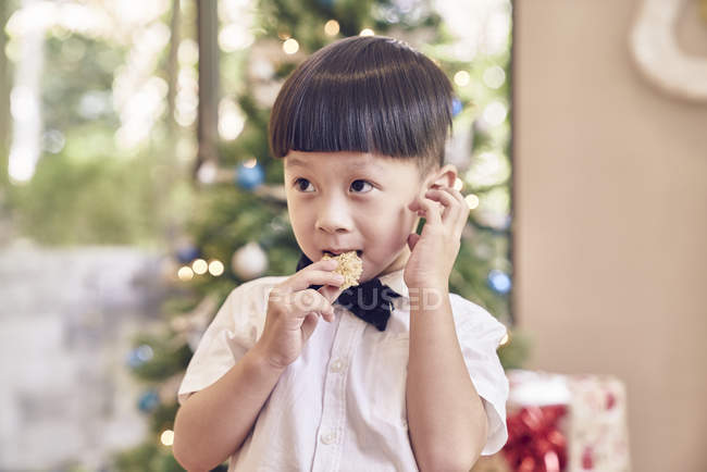 Piccolo asiatico ragazzo mangiare biscotto a natale — Foto stock