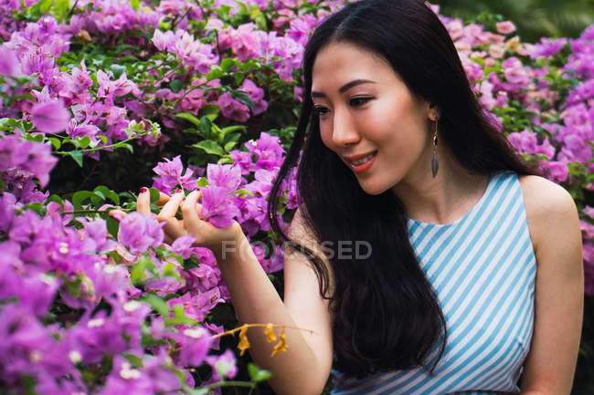 Jovem asiático mulher tocando flores — Fotografia de Stock