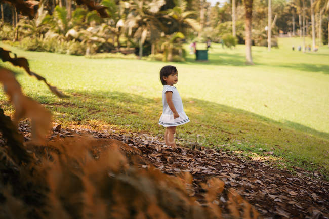 Joven niña de pie en hojas en el parque - foto de stock