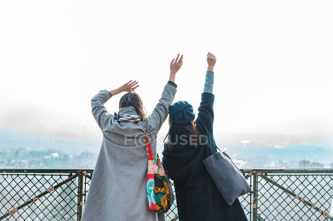 Young adult asian female friends in park, rear view — Stock Photo