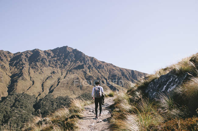 Vue de dos d'un jeune homme faisant de la randonnée dans le parc national Mountain Cook en Nouvelle-Zélande — Photo de stock