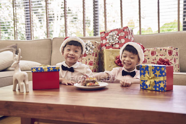 Heureux les jeunes asiatique les garçons célébrer noël ensemble — Photo de stock