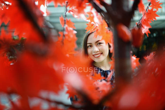 Щаслива красива азіатська жінка портрет через гілки осіннього дерева — стокове фото