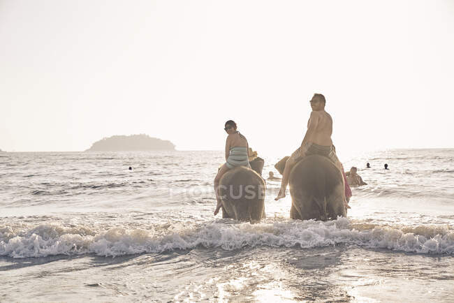 LIBRE Jeune couple jouant avec des éléphants à Koh Chang, Thaïlande — Photo de stock