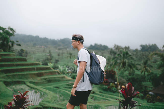 Молодой человек исследует рисовые поля на Бали — стоковое фото