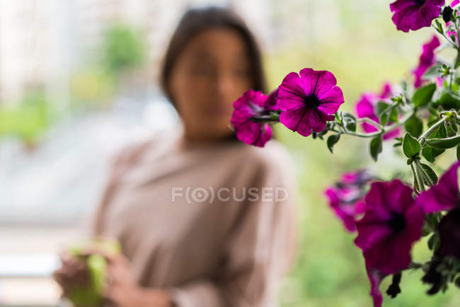 Flores púrpuras delante de la mujer borrosa - foto de stock