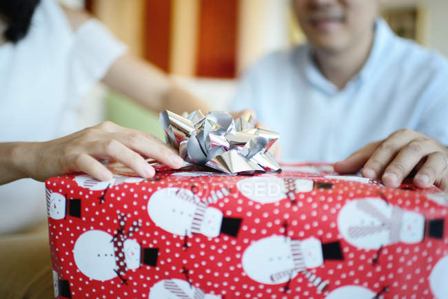 Felice coppia che celebra il Natale insieme a casa e in possesso di regalo — Foto stock