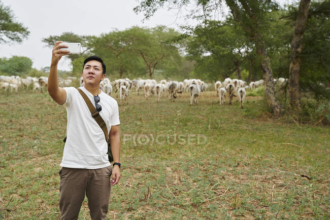 Junger Mann macht ein Selfie mit einer Gruppe Kühe. — Stockfoto