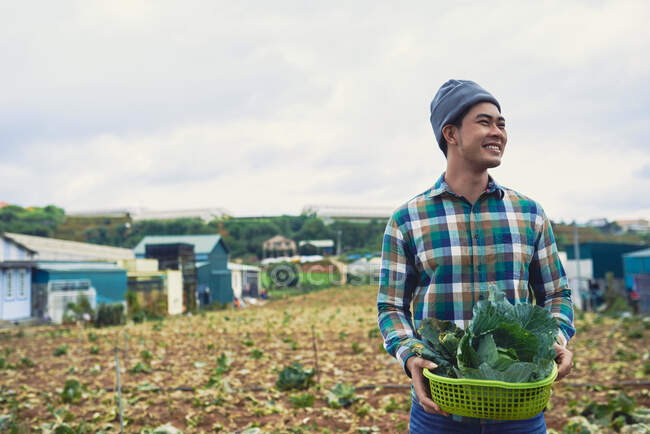 Vietnamese smiling young man harvesting cabbage field — Stock Photo