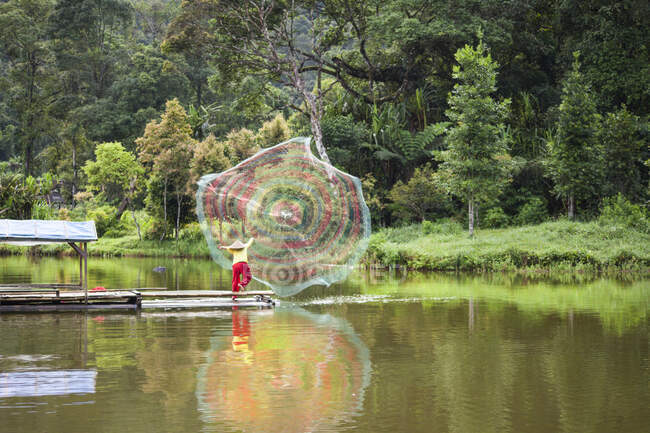 Спіймати рибу, використовуючи сітку в озері — стокове фото