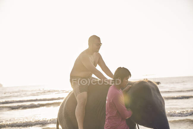 Giovane che gioca con l'elefante a Koh Chang, Thailandia — Foto stock