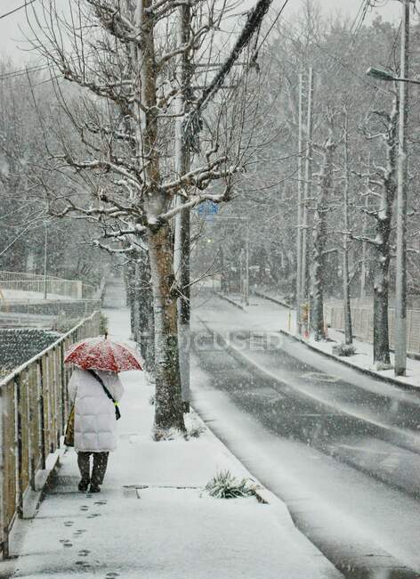 Primera caída de nieve en la ciudad de matsudo Japón - foto de stock