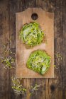 Sandwiches with avocado cream and cucumber — Stock Photo
