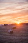 Straw bales on field at sunset — Stock Photo