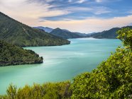 Parque Nacional de Marlborough Sounds — Fotografia de Stock