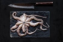 Raw octopus on slate and kitchen knife — Stock Photo