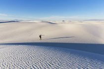 Paisaje del desierto de Chihuahua - foto de stock