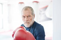 Senior mit Boxhandschuhen — Stockfoto