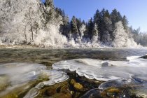 Riva del fiume ghiacciata, Geretsried, Isar — Foto stock