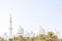 Emirati Arabi Uniti, Abu Dhabi, Sheikh Zayed Mosque — Foto stock