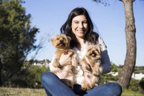 Mulher sentada com Yorkshire Terriers — Fotografia de Stock