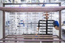 Uomo appeso prodotti su rack — Foto stock