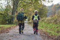 Two boys walking through forest with backpacks, rear view — Stock Photo