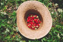 Straw hat full of strawberries — Stock Photo
