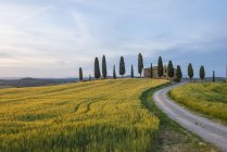 Agriturismo al tramonto, Toscana — Foto stock