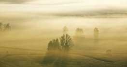 Sonnenaufgang über dem Loisachmoor — Stockfoto