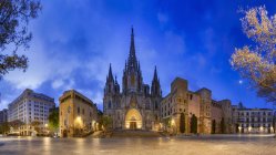 Cattedrale nel Barri Quartiere Gotico — Foto stock