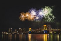 Japan, Tokio, Odaiba, Firework over Rainbow Bridge at night — Stock Photo
