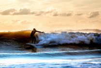 Spagna, Andalusia, Cadice, Conil de la Frontera, Surfer donna surf al tramonto
. — Foto stock