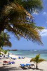 Caribbean sea and view of sandy beach with palms and chairs — Stock Photo