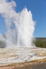 Stati Uniti d'America, Wyoming, Montana, Idaho, Yellowstone National Park, Upper Geyser Basin — Foto stock