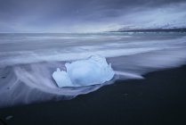 Islanda, Jokulsarlon, ghiaccio glaciale sulla spiaggia all'ora blu — Foto stock