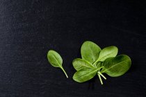 Top view of spinach leaves on black schist surface — Stock Photo